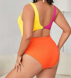 NEONIA-ONE PIECE SWIMWEAR (CURVY PLUS)